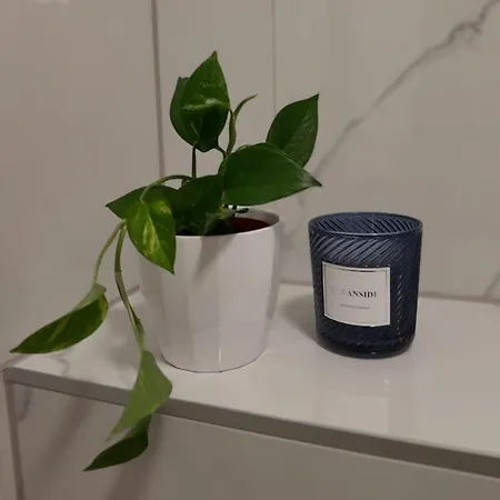 公寓 Casablanca 莫斯塔尔