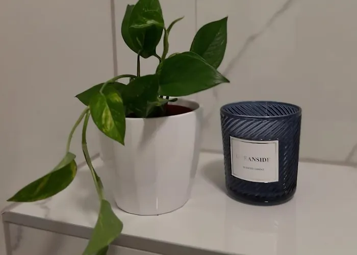 דירה Casablanca מוסטר